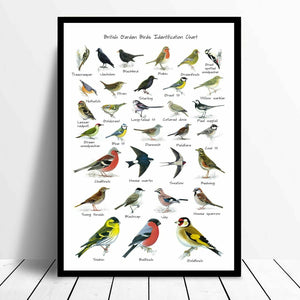 British Garden Birds Chart Wildlife Poster Print A4 A3 A2 A1 A0